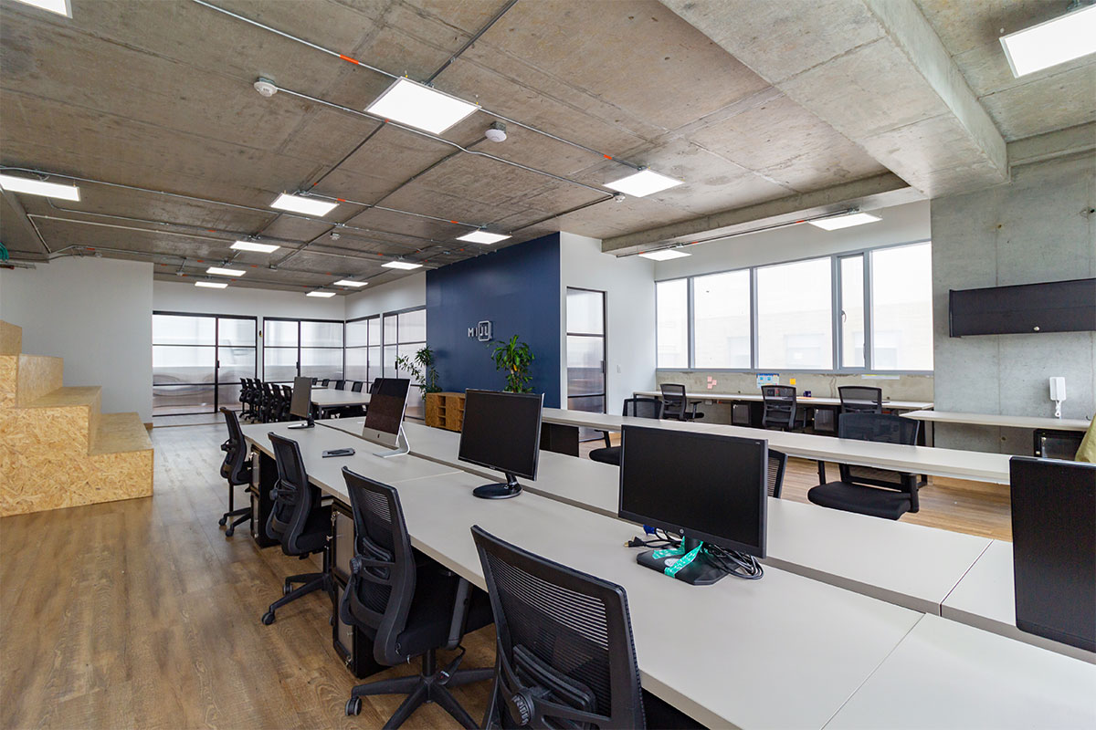loro taym arquitectura